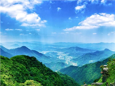 發(fā)揮智庫優(yōu)勢，服務(wù)鄉(xiāng)村振興