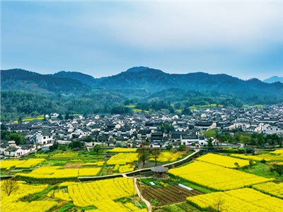 旅游規(guī)劃扶貧