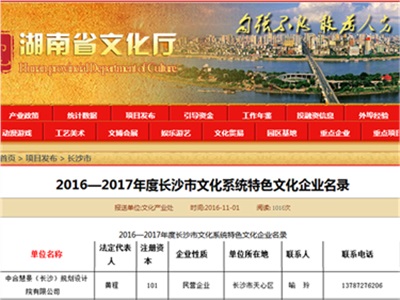 2016—2017年度長沙市文化系統(tǒng)特色文化企業(yè)