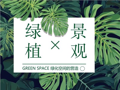 如何利用“綠化”打造多樣景觀空間？