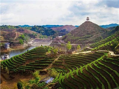聚焦優(yōu)勢，精準(zhǔn)發(fā)力， 全力實(shí)現(xiàn)耒陽旅游跨越式發(fā)展