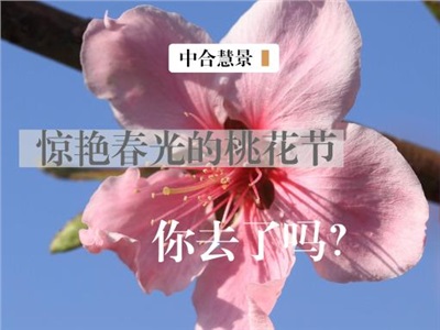 “彭”友說“劃” | 如火如荼的桃花節(jié)，奏響鄉(xiāng)村旅游“新樂章”