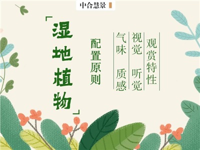 景觀設(shè)計師必備的“濕地植物造景”技能Get！