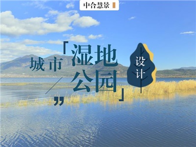 如何打造城市“綠肺”？濕地公園規(guī)劃設(shè)計(jì)重點(diǎn)一覽！