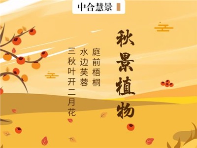 秋景植物的最佳CP到底是誰？園林景觀如何利用“秋裝”奪人眼球？