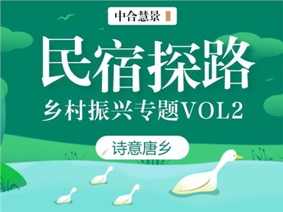 中合慧景鄉(xiāng)村振興專題研究VOL2 | 業(yè)態(tài)創(chuàng)新,民宿探路