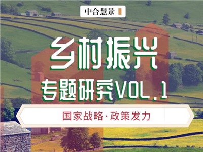中合慧景鄉(xiāng)村振興專題研究VOL1.0 | 規(guī)劃先行，彰顯特色！