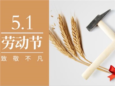 致敬勞動者！致敬每一個為夢想拼搏的奮斗者！