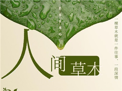 第三十六周：人間草木