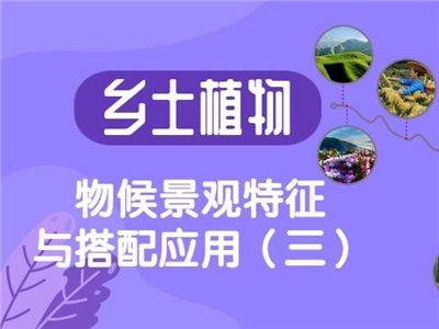 鄉(xiāng)土植物物候景觀特征與搭配應(yīng)用（三）
