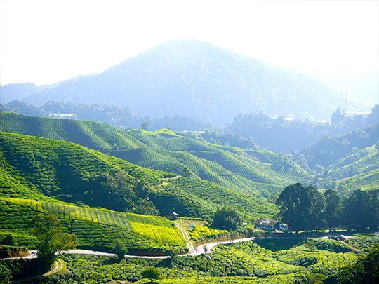 湖南·茶陵紅色旅游規(guī)劃