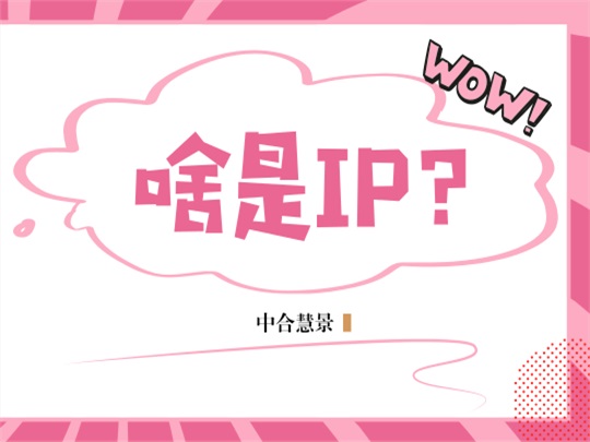 當我們談論IP時，我們在談論什么？