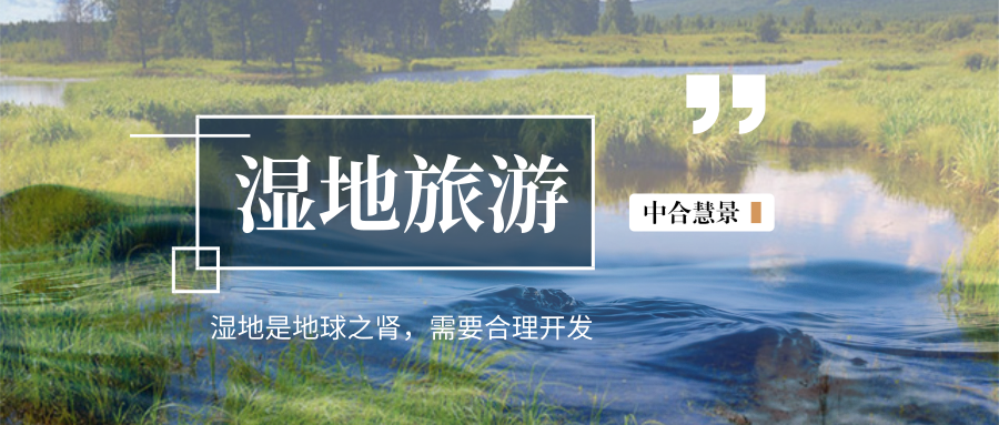 濕地怎么才好玩？六大策劃手法為濕地旅游魅力添彩！