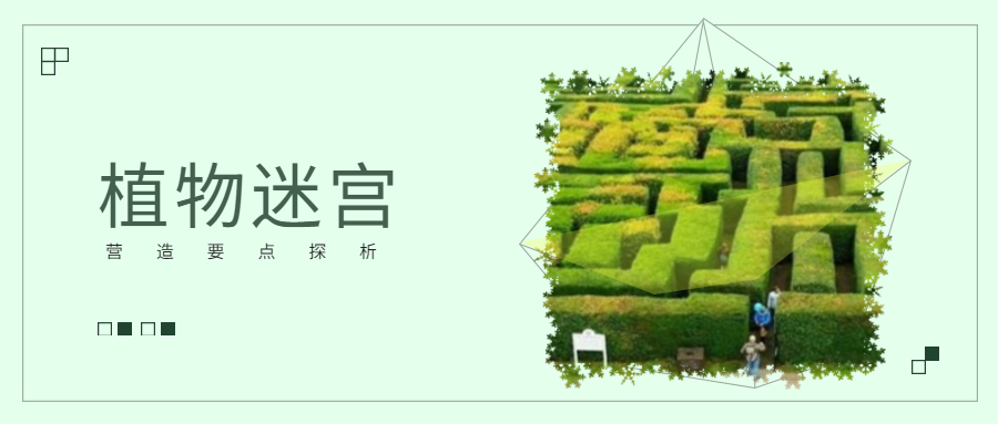 燃燒你的腦細胞！如何打造有“顏”又有趣的植物迷宮？