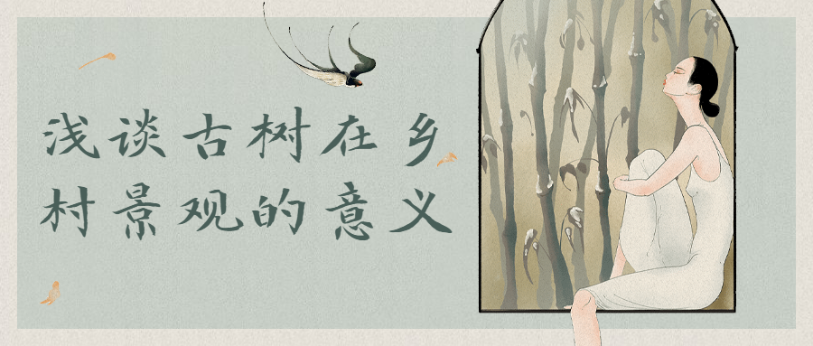 淺談古樹在鄉(xiāng)村景觀的意義