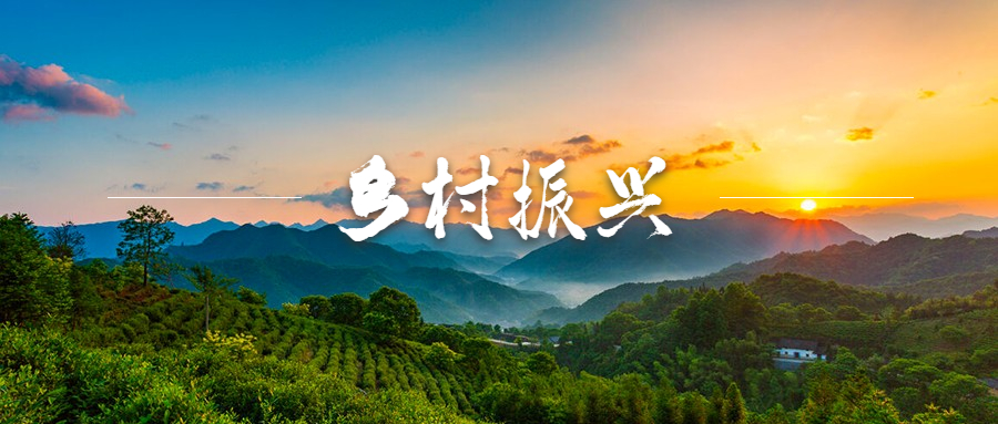 2023年實(shí)施鄉(xiāng)村振興戰(zhàn)略的三大發(fā)力點(diǎn)