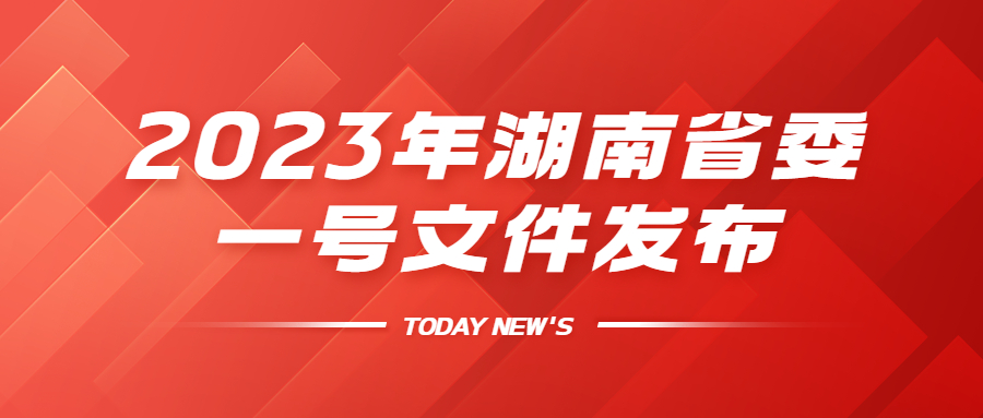 重磅！2023年湖南省委一號(hào)文件發(fā)布：建設(shè)宜居宜業(yè)和美鄉(xiāng)村