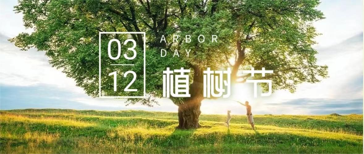 植樹節(jié) |“植”此青綠，擁抱春天，中合慧景黨支部主題黨日活動(dòng)